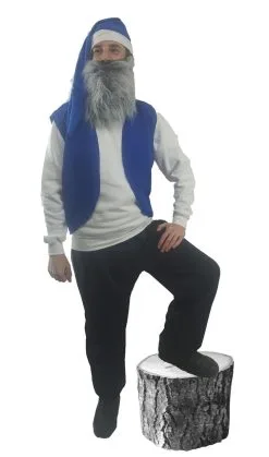 Adults 7 Dwarfs Gnomes Elf Stag Night Festival Group Fancy Dress Costume -Halloween Shop 22956313 3f06 4755 bb69 da1db58458fa 24890.1675075258