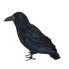 Black Raven Crow Halloween Prop Accessory Decoration Fancy Dress