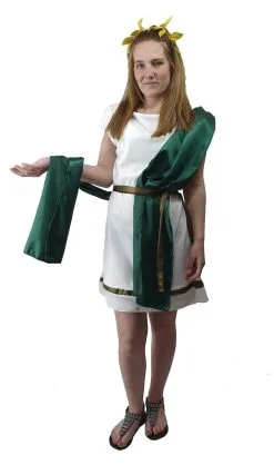 Ladies Deluxe Roman Greek Grecian Toga Tabard Robes Historical Fancy Dress Costume 11 Ladies Deluxe Roman Greek Grecian Toga Tabard Robes Historical Fancy Dress Costume -Halloween Shop api7bkjuz 04367.1620416407