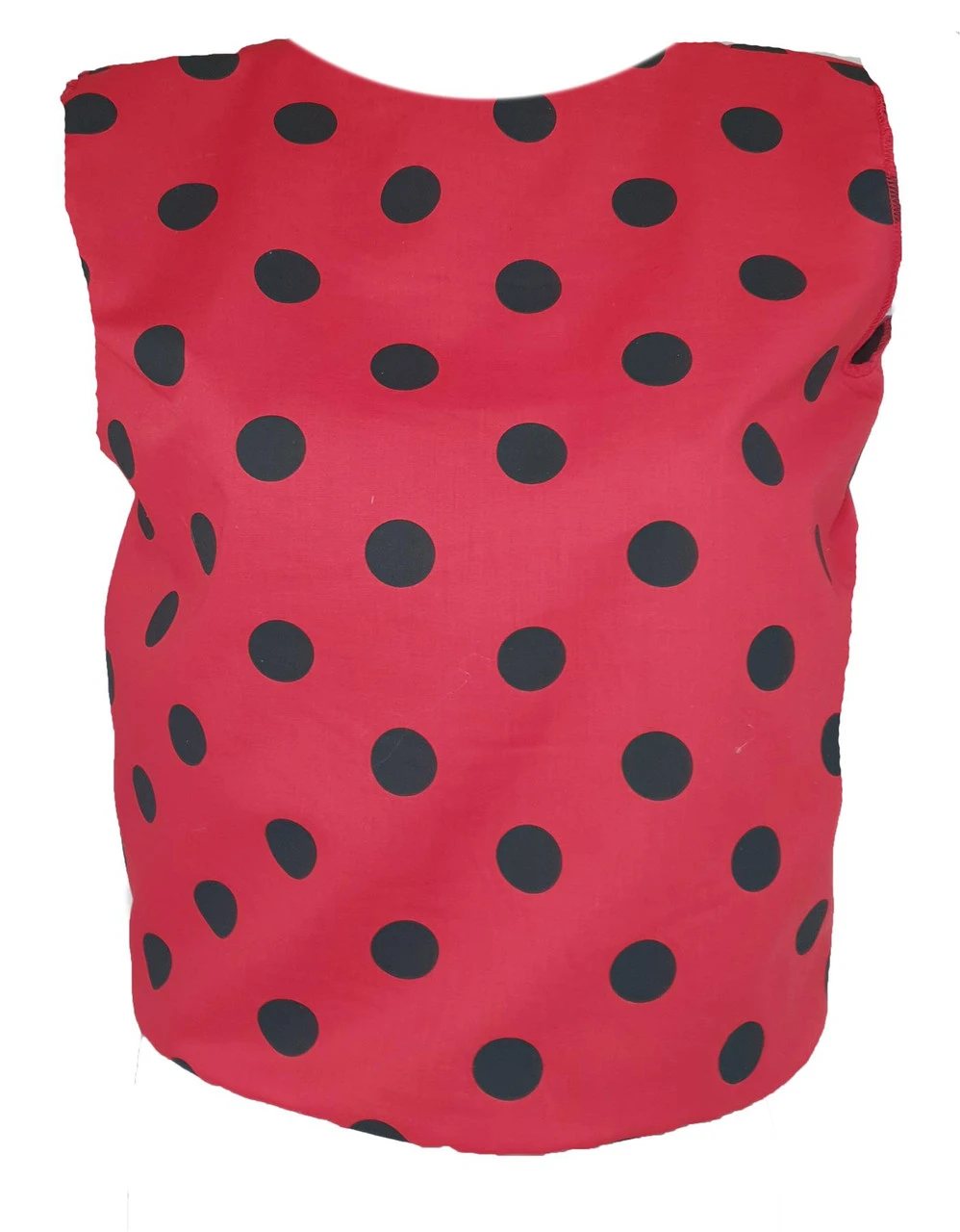 Childs Insect Ladybird Lady Bug Waistcoat & 3 Piece Wing Set Fancy Dress 4 Childs Insect Ladybird Lady Bug Waistcoat & 3 Piece Wing Set Fancy Dress - Image 4