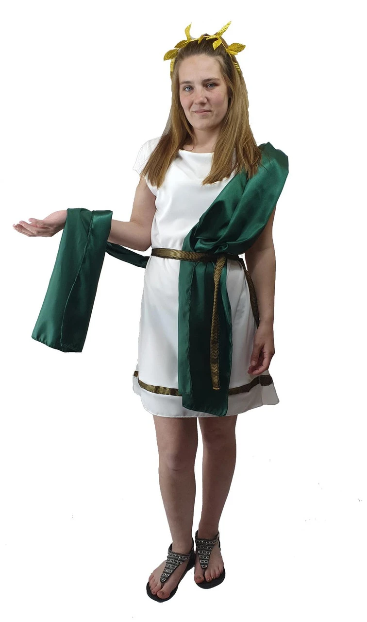 Ladies Deluxe Roman Greek Grecian Toga Tabard Robes Historical Fancy Dress Costume 4 Ladies Deluxe Roman Greek Grecian Toga Tabard Robes Historical Fancy Dress Costume - Image 4