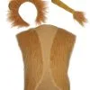 Adults World Book Day Friendly Lion Waistcoat Ears & Tail Set