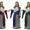 Ladies Greek Goddess Roman Senator Grecian Mythology Toga Robes Historical Fancy Dress Costume