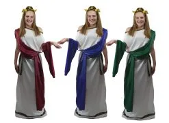 Ladies Greek Goddess Roman Senator Grecian Mythology Toga Robes Historical Fancy Dress Costume
