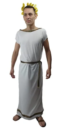 Adults Deluxe Roman Grecian Greek Toga Tabard Robes & Laurel Historical Fancy Dress Costume