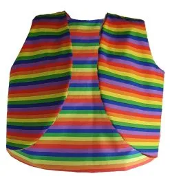 Adults Rainbow Stripe Gillet Waistcoat LGBT Pride March Festival Fancy Dress [2 Sizes] -Halloween Shop b3ed8615 5625 4e9a 89bc ddd22ac12cf0 62585.1655466382
