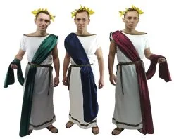 Mens Greek God Roman Senator Grecian Mythology Toga Robes Historical Fancy Dress Costume