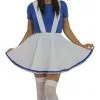 Ladies White & Blue Garden Gnome Fancy Dress Complete Smurf Costume