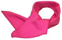 Adults 22" Length Neon Pink Rock & Roll Skirt & Neck Tie 1950's Fancy Dress [2 Sizes] -Halloween Shop fee1aac4 0d11 4c3d 90c0 cec8aafaf94e 28693.1681828238